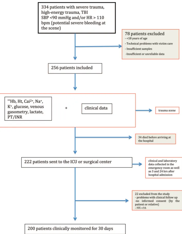 Figure 1 - Flowchart. ISS - injury severity score; SBP - systolic blood pressure; Hb - hemoglobin (g/dL); Ht - hematocrit (%);
