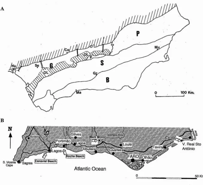 Fig. I - A - Caracterist icas paleogeográfieas del or6gen o bético; (P): Prebé tico, (S): Subbético, (8): Bético, (G): Cuenca del Guadalquivir (Sierro et al., 1990)