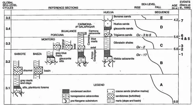 Fig. 2 -Secuenciasdeposicionales en la Cuencadel Guadalquivir y correlación con los ciclos de cambio global del nivel del mar (Sierro el al., 1996).