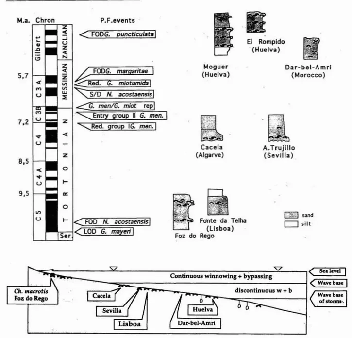 Fig. 3 • Posición de diferentes yacimientos neógenos con moluscos y bioeventos. Interpretación genética de las concentraciones de moluscos (Gonzá lez Delgado el 01 ., 1995).