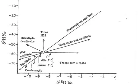 Figura 2: Processos que modificam a composição isotópica da água (D’Amore &amp; Panichi, 1987,  in Carvalho, 2000) 