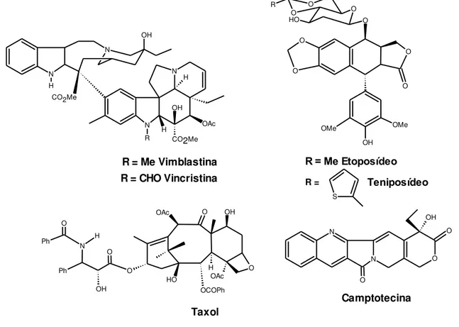 Figura  2:  Exemplos  de  quimioterápicos  de  origem  vegetal  com  estruturas 