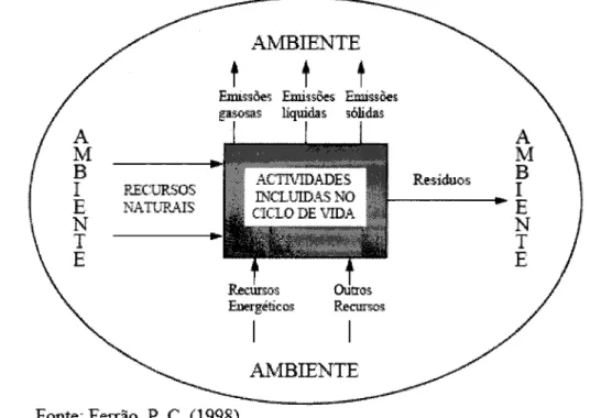 Figura  4.2  -  lnterucgdo entre o sistema  e  o ambiente