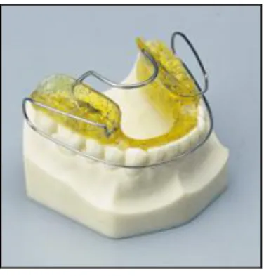 Fig. 5. Bionator III.