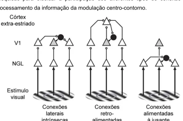 FIGURA  1.5.1:  Desenho  esquemático  dos  três  principais  tipos  de  mecanismos  que  podem  estar  associados  à  modulação  centro-contorno