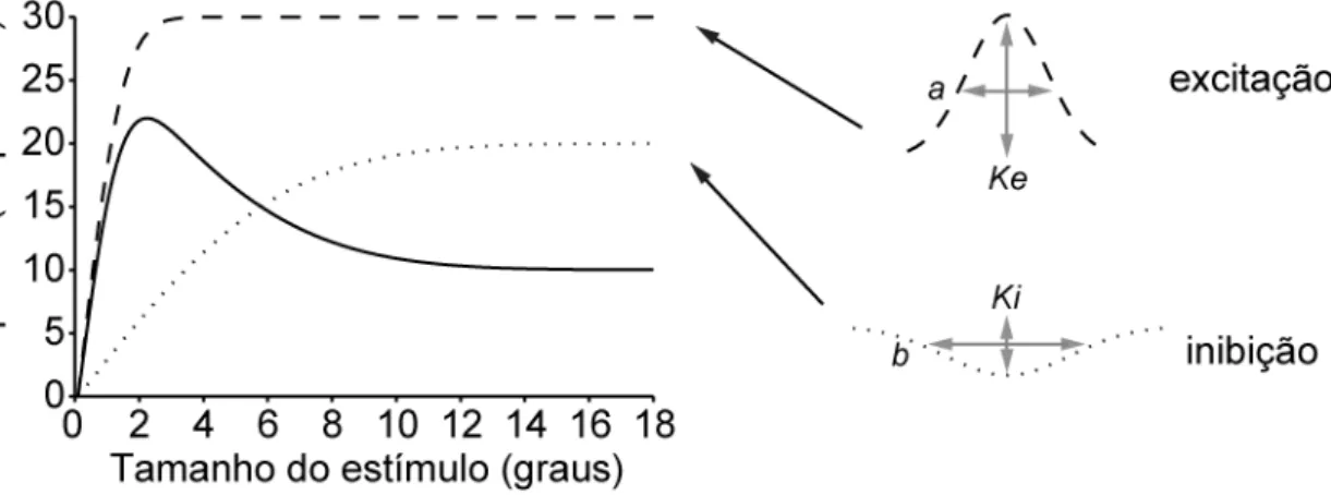 FIGURA  3.5.1:  Representação  do  modelo  teórico  baseado  na  diferença  de  duas  Gaussianas  (modelo DoG, linha sólida), uma excitatória (linha tracejada) e outra inibitória (linha pontilhada),  com suas respectivas constantes