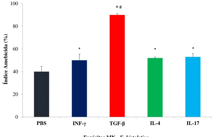 Figura 2. Atividade amebicida dos fagócitos MN tratados por citocinas (INF-  TGF- , IL-4 e IL-17) na 