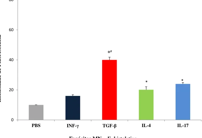 Figura 4. Liberação de cálcio intracelular pelos fagócitos MN tratados por INF-  TGF-  IL-4 e IL-17