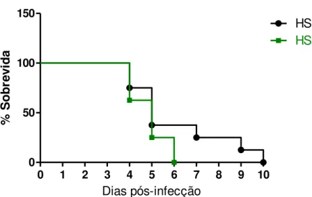 Figura  7.  Curva  de  sobrevida  de  camundongos  infectados  não  tratados  (HSV+VEH,  n=8)  versus  camundongos  infectados  tratados  (HSV+WIN,  n=8)