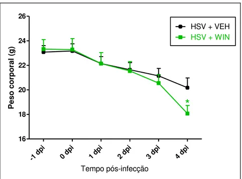 Figura 8. Perda de massa ponderal mensurada no grupo de camundongos infectados  não tratados (HSV+VEH, n=12) em comparação ao grupo de camundongos infectados  tratados (HSV+WIN, n=11)