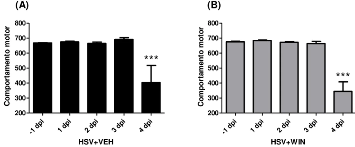 Figura 11. Comparação dos resultados obtidos na categoria Comportamento motor da  bateria  SHIRPA  entre  camundongos  infectados  tratados  (HSV+WIN,  n=8)  e  camundongos  infectados  não  tratados  (HSV+VEH,  n=8)