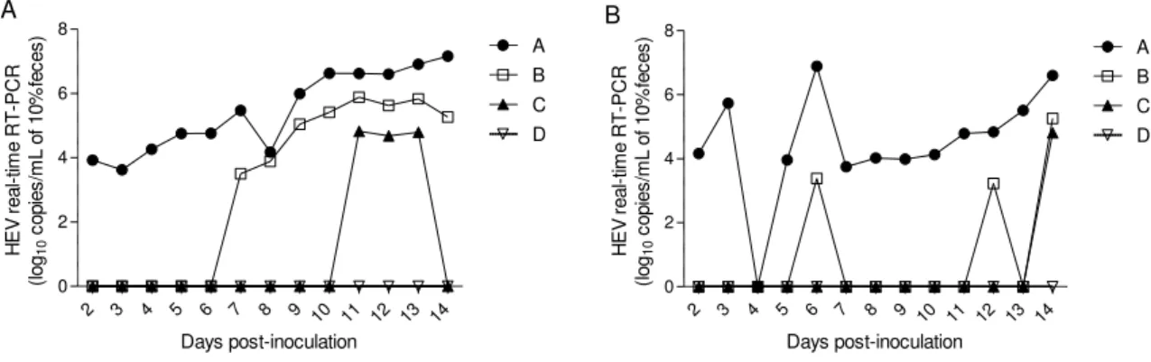 Figure 1.Comparison of four real-time RT-PCR assays (A, B, C and D) in detecting and quantifying HEV RNA on fecal samples  after experimental inoculation of a pig with HEV genotype 3 strains US-2 (A) or Meng (B)