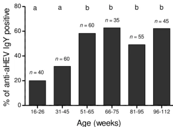 Figure 3. Detection rates of IgY anti-aHEV antibodies in  serum samples from chickens of different age-groups (n =  number of chickens sampled in each age-group)