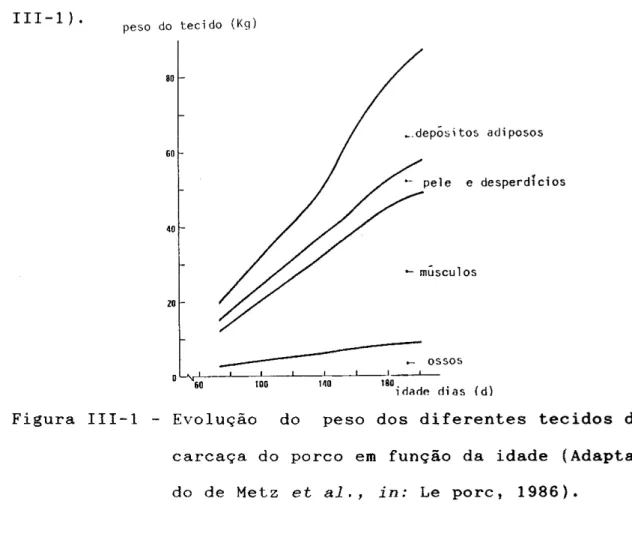 Figura  III-1