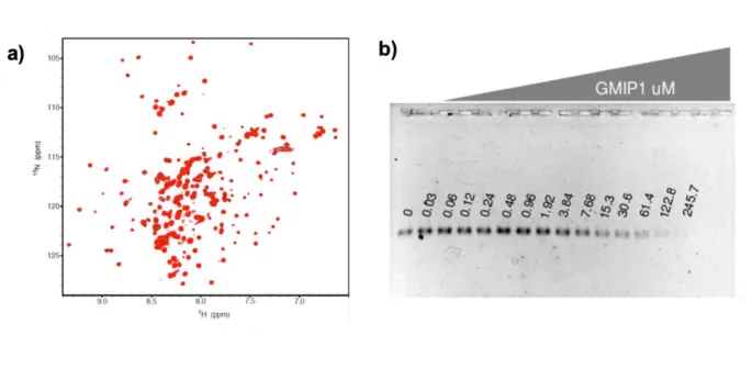 Figure 9: NMR: HQSC spectra of [C13,N15]H2A-H2B dimers (black) and with GMIP1 (red). 