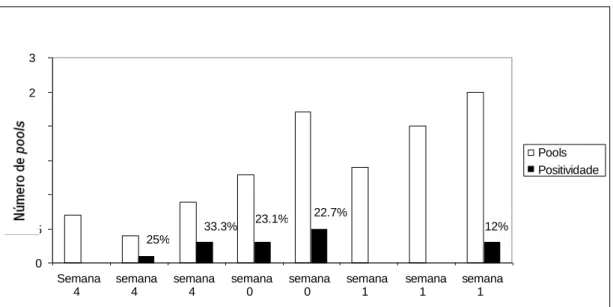 Figura  19  -  Detecção  do  genoma  viral,  amplificado  por  “Semi-Nested”- “Semi-Nested”-PCR,  nos  “pools”  de  larvas  analisados