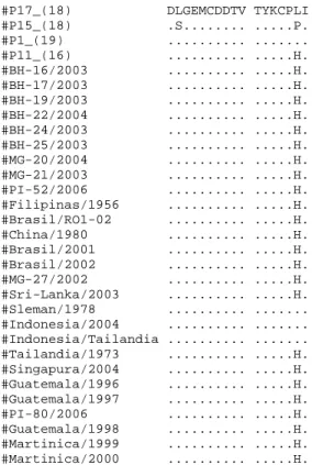 Figura 20 - Alinhamento da sequência de nucleotídeos (A) e inferência de  aminoácidos  (B)  da  região  de  junção  dos  genes  C-prM  do  genoma  de  DENV  detectado  por  “Semi-Nested”-PCR:  P11;  P15;  P17  e  P1  com  outras  seqüências  de  Dengue  vi