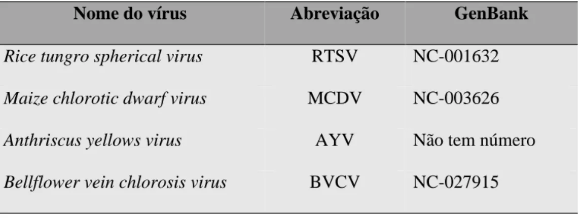 Tabela 1.4: Espécies de vírus pertencentes ao gênero Waikavirus aceitas pelo  comitê taxonômico de vírus (ICTV) 