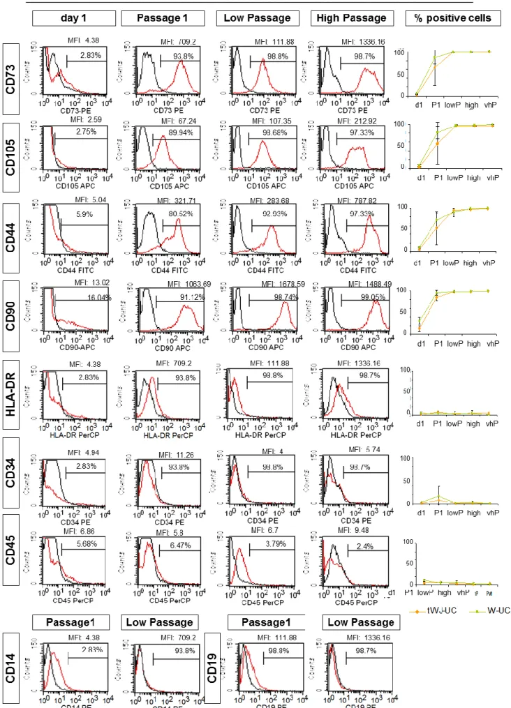 Figure  6.  Expression  profiles  of  MSC  markers  in  cells  expanded  in  standard  MSC-FBS  medium