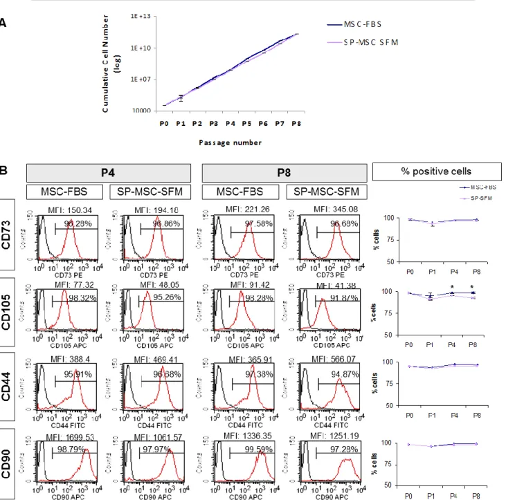 Figure  7.  Characterisation  of  MSCs  cultured  in  StemPro  serum-free  medium  in  comparison  to  MSC/FBS medium