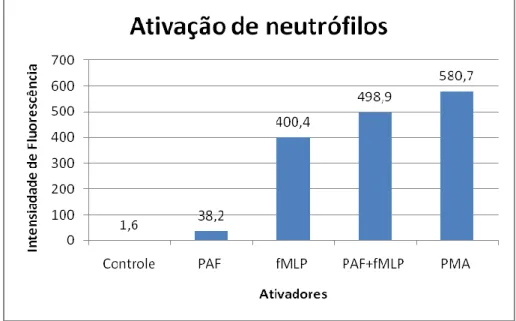 Figura  13:  Ativação  dos  neutrófilos.  Gráfico  que  mostra  a  ativação  dos  neutrófilos  pela  avaliação  citométrica  demostrando  a  intensidade  de  fluorescência  do  DHR  na  presença  de  peróxido de hidrogênio (H 2 O 2 )
