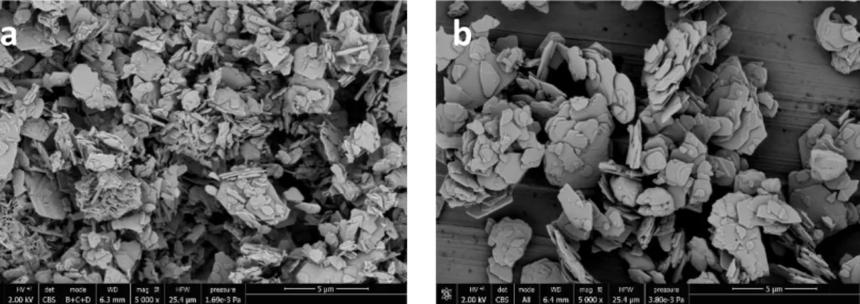 Figure 9. FEG-SEM images in CBS mode (5.000 x magnification) showing a) Kremer Pigmente and b) Schoonhoven,  results acquired by by Ineke Joosten, conservation scientist at RCE