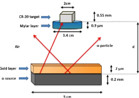 Figure  2.7  -  Schematic  representation  of  the  materials  present  between  the  α-source  and  a  target,  where  d  represents the distance between the target and the source