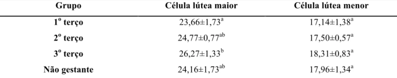 Tabela  4.  Médias  e  desvios-padrão  do  diâmetro  nuclear  (µm)  de  células  lúteas  maiores  e  menores  de 