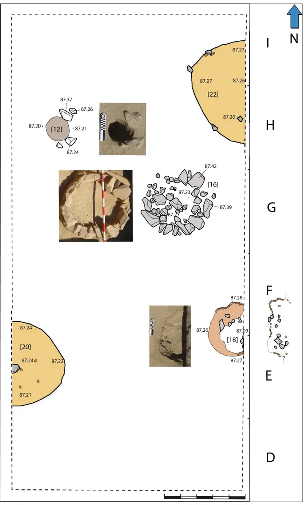 Fig. 3. Planta final ilustrada da Sondagem 8, com as estruturas identificadas: [12] – buraco de poste; [16] 