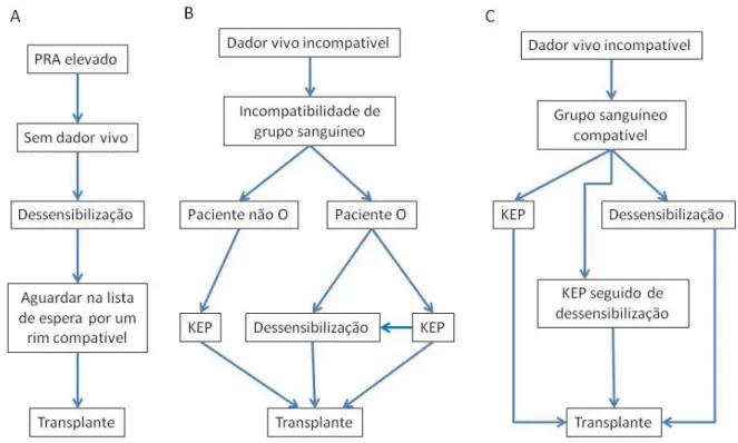 Figura 6: (A) A dessensibilização pode duplicar as hipóteses de um paciente de PRA elevado encontrar um rim compatível  de  um  dador  cadáver