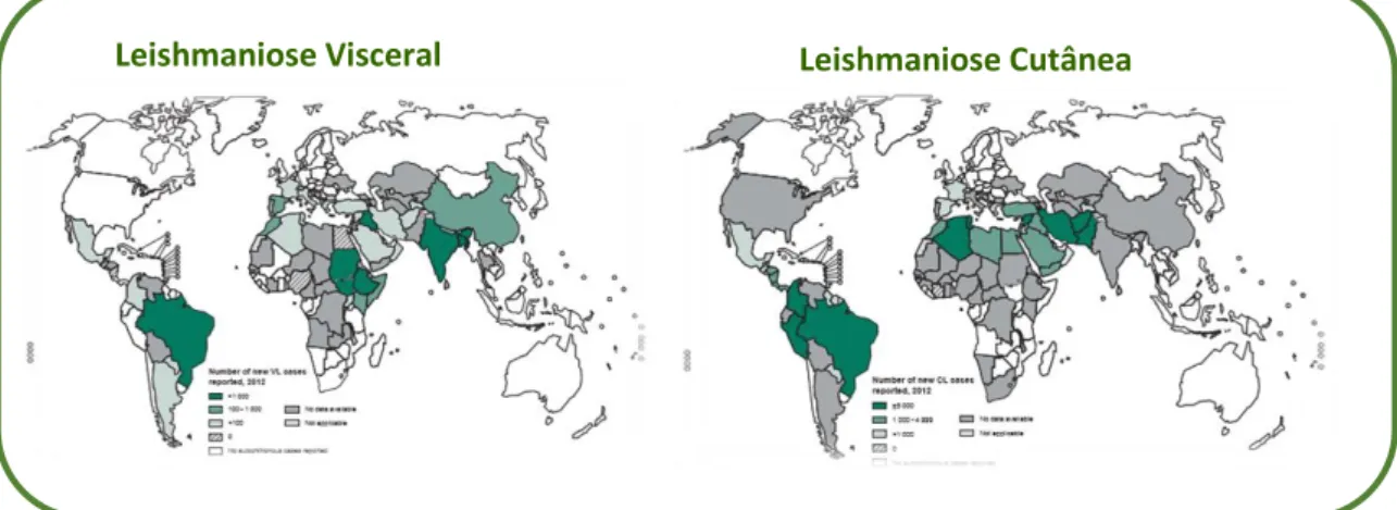 Figura 1 – Distribuição mundial de leishmaniose visceral e leishmaniose cutânea em 2012