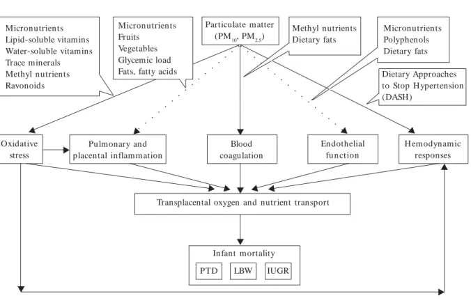 Figure 1. Proposed biologic framework for exploring possible effect modification of PM–birth outcomes by m aternal nutrition