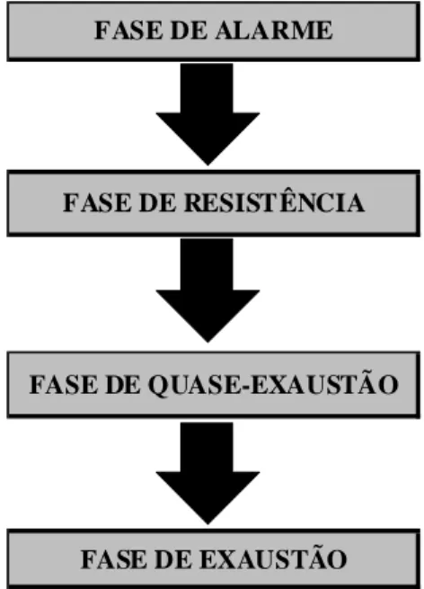 FIGURA 9 – Modelo teórico de Lipp para explicar o estresse  Fonte: elaborado pela autora, a partir da teoria de Lipp (2005)