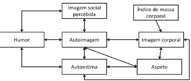 Figura  4. –  Influência entre  a  autoimagem  geral,  a imagem  corporal  e  o  aspeto  mediado  pela  imagem  social  percebida,  a  autoestima  e  o  humor  (Adaptado  de  Trallero, 2010, p