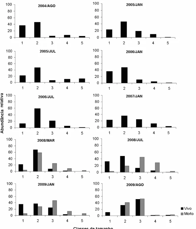 Figura 3. Abundância relativa das classes de tamanho do M. tuberculatus no lago Dom 