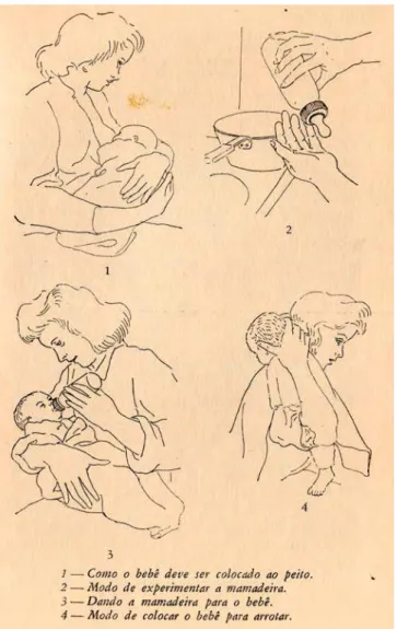Figura 15 – Imagem do Dicionário do Lar, 1966, vol. PEI-RUI, p. 893. 