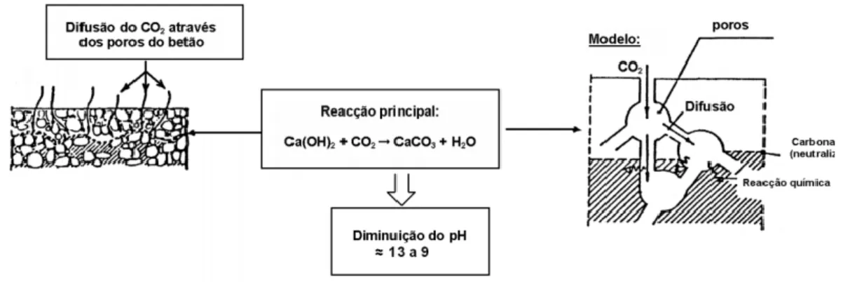 Figura 2.3 Avanço do processo de carbonatação. (Simas, 2007) 