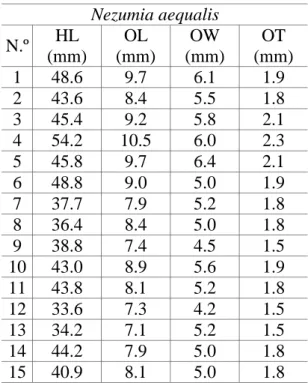 TABLE 2 - Meristic data, in millimetres, from Nezumia aequalis otoliths: HL - Fish head length; OL - Otolith length; OW - Otolith width; OT - Otolith thickness.