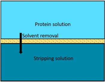 Figure 2.2: Membrane generation of supersaturation.