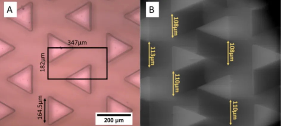 Figure 3.2: SEM images of the SU8-Si micromold (A) and PDMS micromold (B) used to prepare patterned Nafion membranes by NIL and MT respectively.