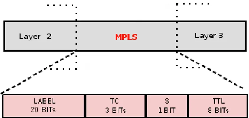 Figure 2.4: The MPLS layer and its fields. The MPLS header is positioned after Layer 2 header and before Layer 3 header