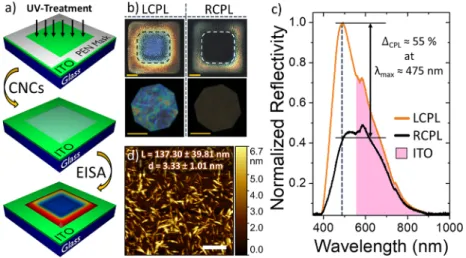 Figure 1d shows a size distribution study of individual CNC rods on a mica surface by atomic force microscopy (AFM)