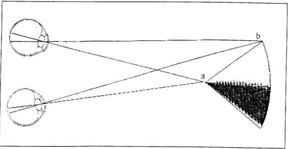 Figura 2.1-0 processo da visão estereoscópica 