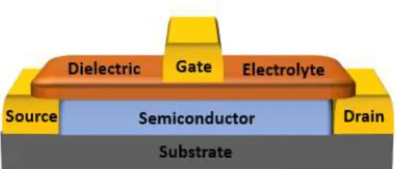 Figure 4: Electrolyte-gated transistor schematic 