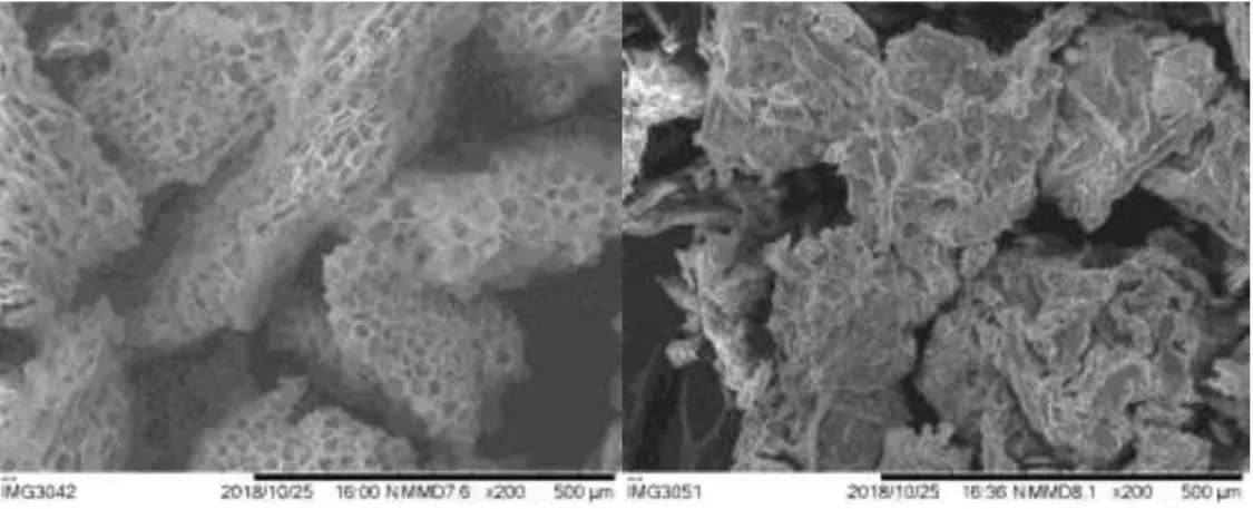 Figure 5: SEM images of the honeycomb-like microstructure after the pre-treatment of cork that  stayed afloat (right) and cork that deposited at the bottom (left)