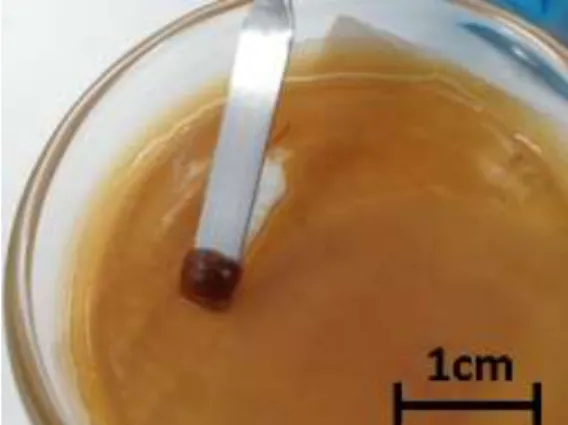 Figure 7: Sample of cork-resin resulting from the dissolution and neutralization steps without  adding a binding agent