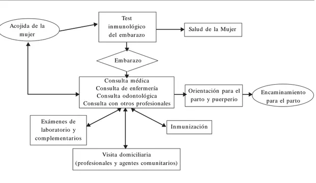 Figura 1. Fluxograma de atención a las embarazadas de bajo-riesgo. Unidad de Salud de la Familia-QUALIS.