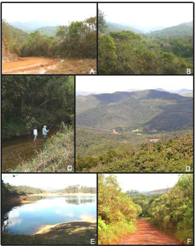 Figura  1.  Áreas  de  matas  no  PEIT:  A)  Estrada  do  Cibrão;  B)  Região  do  Maynart;  C)  Córrego  Belchior; D) Vista das Trilha do Forno e da Lagoa; E) Bacia do Custódio; F) Estrada da Descida