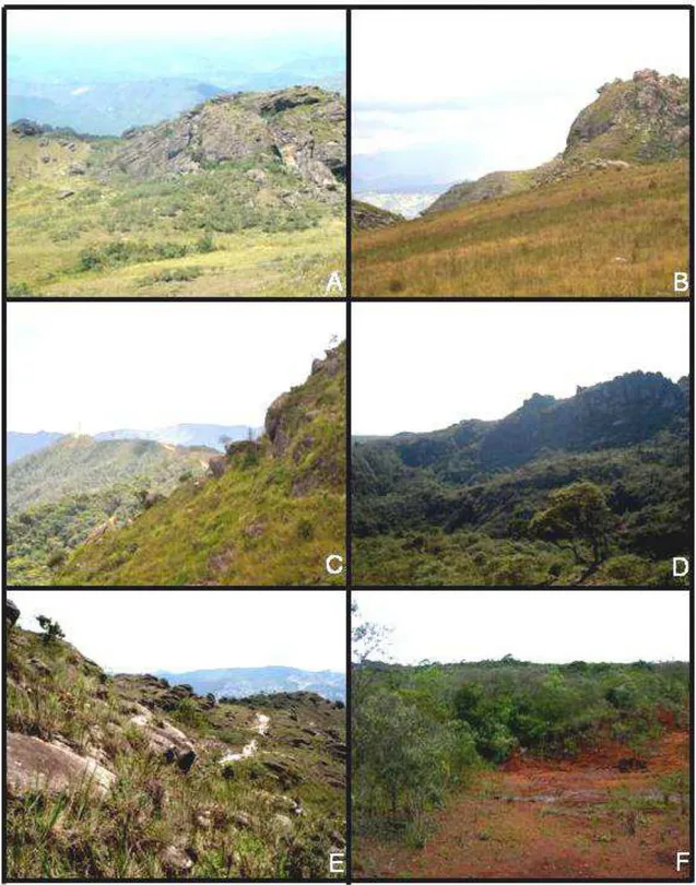 Figura 2.  Áreas de campo rupestre no PEIT: A) Sertão; B) Região da Lagoa Seca; C) Subida  para a Lagoa Seca com vista para o  Morro do Cachorro; D) Estrada do Calais chegando ao  Baú;  E)  Estrada  do  Calais;  F)  Início  da  Trilha  da  Capela  –  área 