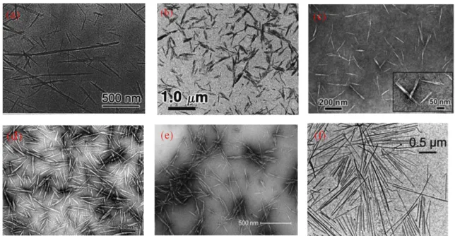 Figura  1.13.  Imagens  de  MET  obtidas  para  NCCs  preparados  a  partir  de  diferentes  fontes  de  celulose: (a)  bacteriana  [47],  (b)  algodão  [51], (c)  CMC  [45],  (d)  Rami  [56],  (e) sisal [59], (f) Tunicata [60]